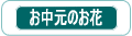 �������p�t�����[�M�t�g