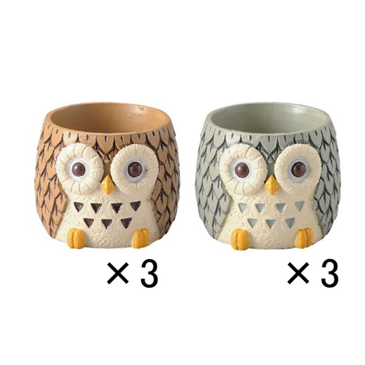 ԍ fggW|bgEtNE(3769S)6