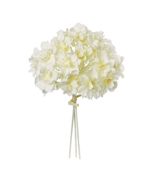 �c�l���z�Ԃc�l���ԁE���A�[�h���z�ԃo���h���E�N���[��(FB-2507-CR)