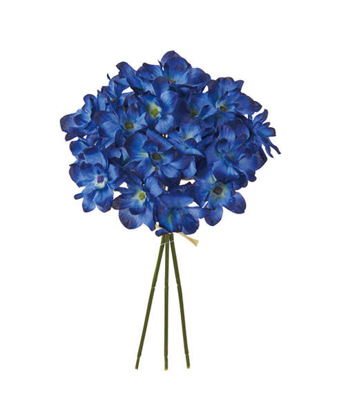 �c�l���z�Ԃc�l���ԁE���A�[�h���z�ԃo���h���ED�u���[(FB-2507-DBL)