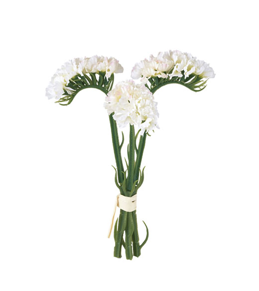 �c�l���Ԃc�l���ԁE�X�^�[�`�X�o���`�E�N���[��(FB-2599-CR)