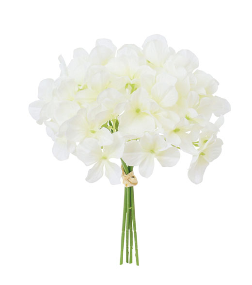 �c�l���z�Ԃc�l���ԁE�n�C�h�����W�A�o���h���E�z���C�g(FB-2694-W)