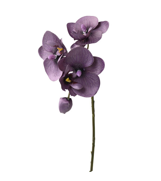 ԍ pEI[LbhsbNE_[Np[v(P-8813-80)