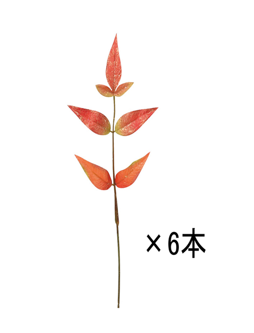 ԍ `r[tXv[EbhS[hE6{(74605-002)EAEgbg
