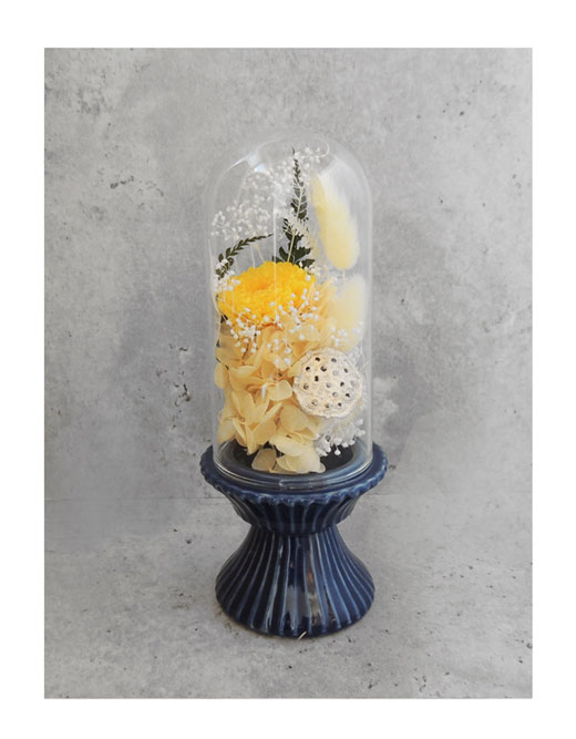 �ԍ� �j���������E�����ȕ��ԁE�t�B�[�J�E�C���f�B�S�u���[�E�R��