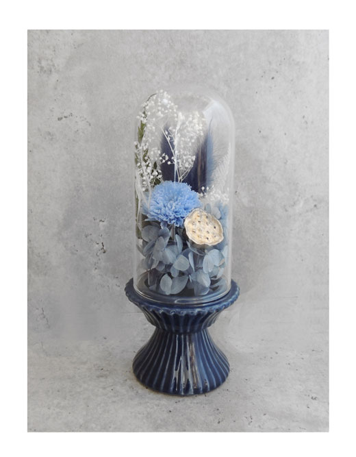 �ԍ� �j���������E�����ȕ��ԁE�t�B�[�J�E�C���f�B�S�u���[�E�ڗ�