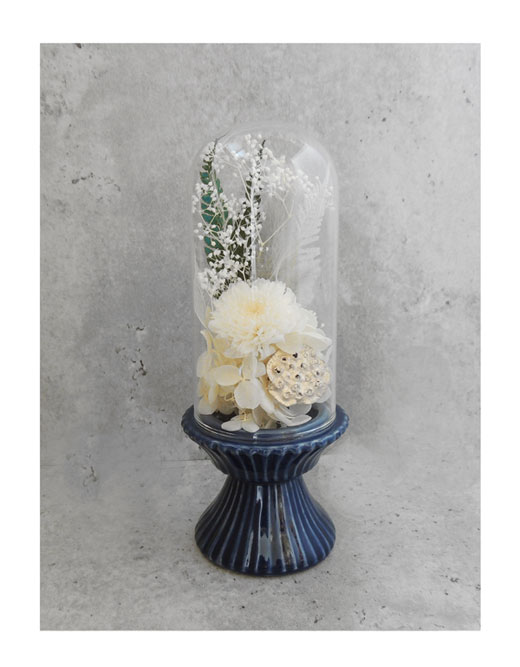 �ԍ� �j���������E�����ȕ��ԁE�t�B�[�J�E�C���f�B�S�u���[�E���C