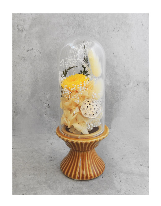 �ԍ� �j���������E�����ȕ��ԁE�t�B�[�J�E�C�G���[�I�[�N�E�R��