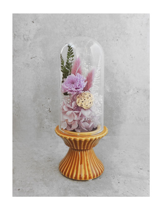 �ԍ� �j���������E�����ȕ��ԁE�t�B�[�J�E�C�G���[�I�[�N�E���F