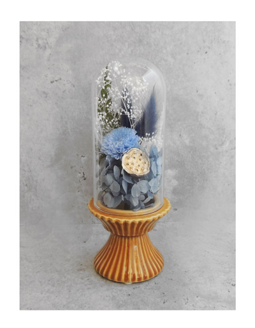 �ԍ� �j���������E�����ȕ��ԁE�t�B�[�J�E�C�G���[�I�[�N�E�ڗ�