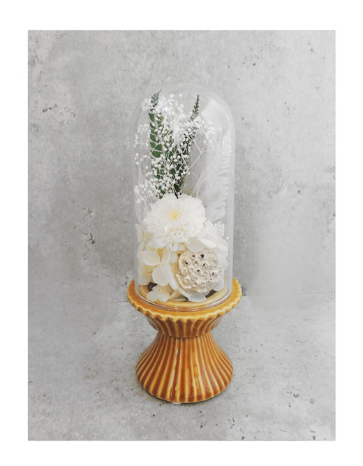 �ԍ� �j���������E�����ȕ��ԁE�t�B�[�J�E�C�G���[�I�[�N�E���C