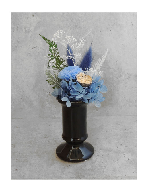 �ԍ� �j���������E�����ȕ��ԁE�q�`���L�E�u���b�N�E�ڗ�