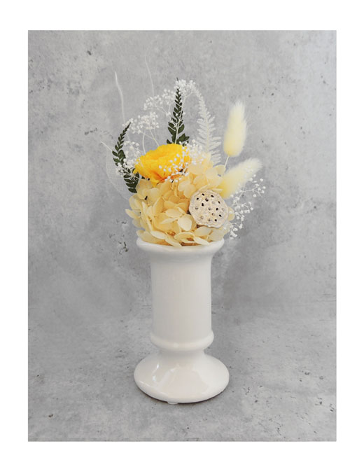 �ԍ� �j���������E�����ȕ��ԁE�q�`���L�E�z���C�g�E�R��