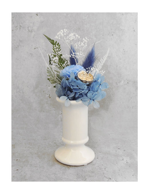 �ԍ� �j���������E�����ȕ��ԁE�q�`���L�E�z���C�g�E�ڗ�