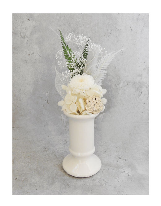 �ԍ� �j���������E�����ȕ��ԁE�q�`���L�E�z���C�g�E���C