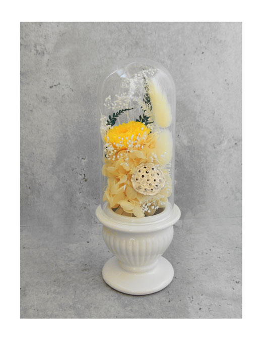 �ԍ� �j���������E�����ȕ��ԁE�R�E�e���E�z���C�g�E�R��