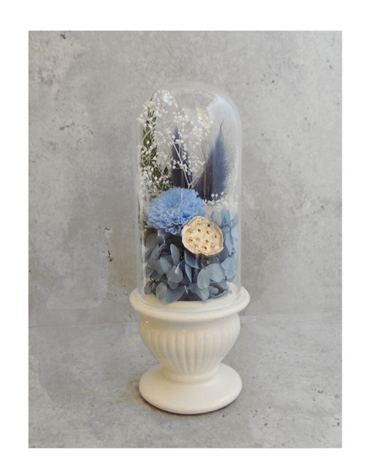 �ԍ� �j���������E�����ȕ��ԁE�R�E�e���E�z���C�g�E�ڗ�