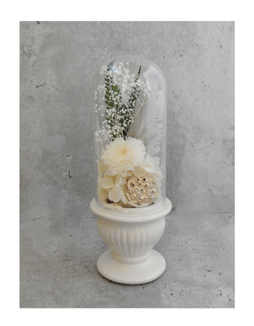 �ԍ� �j���������E�����ȕ��ԁE�R�E�e���E�z���C�g�E���C