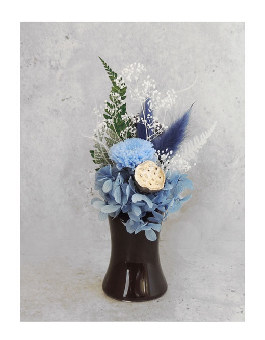 �ԍ� �j���������E�����ȕ��ԁE�I�u���[�N�E�u���E���E�ڗ�