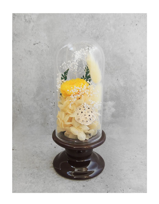 �ԍ� �j���������E�����ȕ��ԁE�c�d�~�E�A�b�V���u���E���E�R��