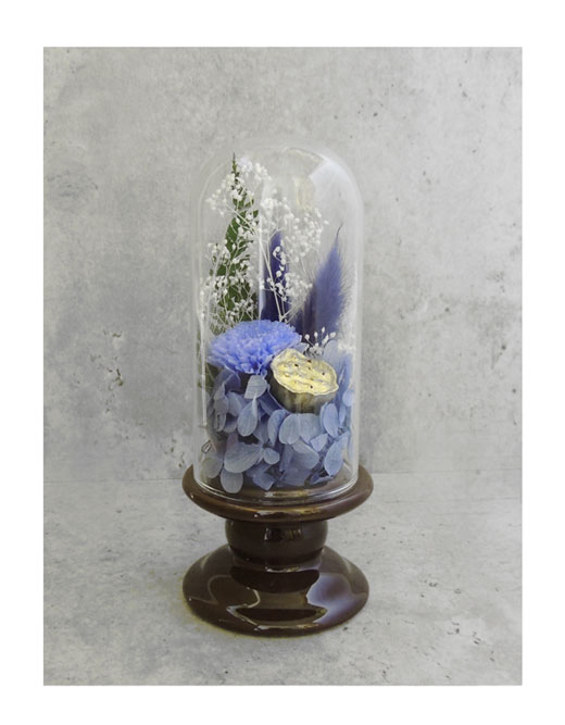 �ԍ� �j���������E�����ȕ��ԁE�c�d�~�E�A�b�V���u���E���E�ڗ�