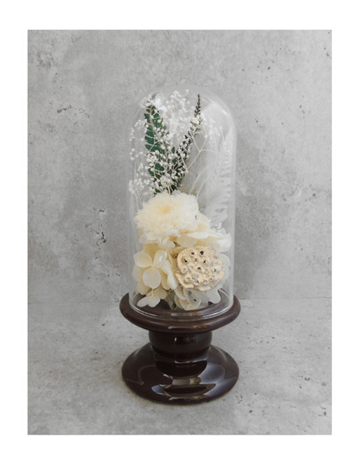 �ԍ� �j���������E�����ȕ��ԁE�c�d�~�E�A�b�V���u���E���E���C