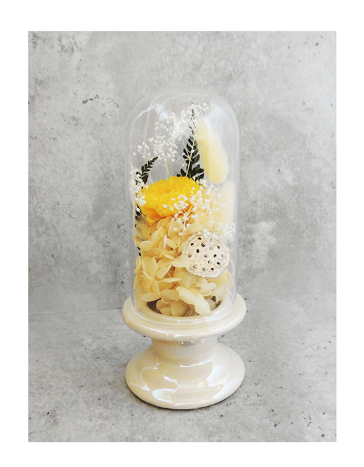 �ԍ� �j���������E�����ȕ��ԁE�c�d�~�E�p�[���A�C�{���[�E�R��