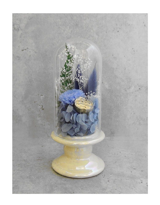 �ԍ� �j���������E�����ȕ��ԁE�c�d�~�E�p�[���A�C�{���[�E�ڗ�