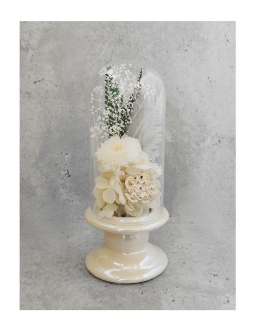 �ԍ� �j���������E�����ȕ��ԁE�c�d�~�E�p�[���A�C�{���[�E���C