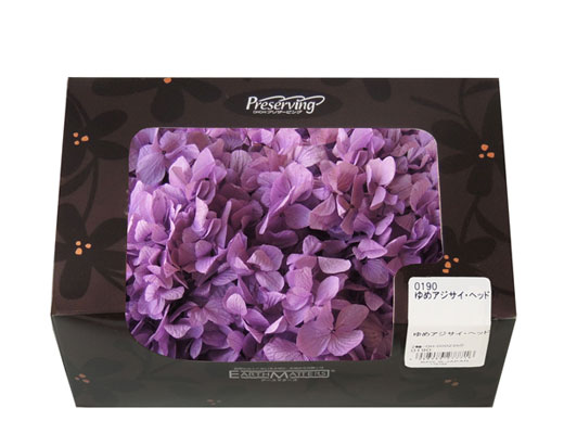 ＯＮ紫陽花ＯＮソフトゆめアジサイ・パープル