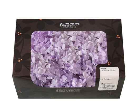 �ԍ� ��n�_���E�A�i�x���E���݂�p�[�v��