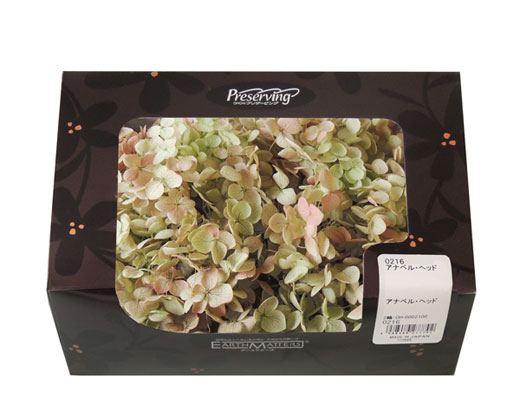 �ԍ� ��n�_���E�A�i�x���E���C�����[