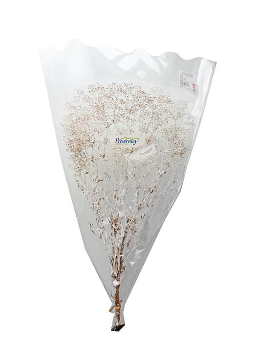 プリザーブドフラワー花材：ＯＮスーパーソフトミニカスミ草・マットホワイト