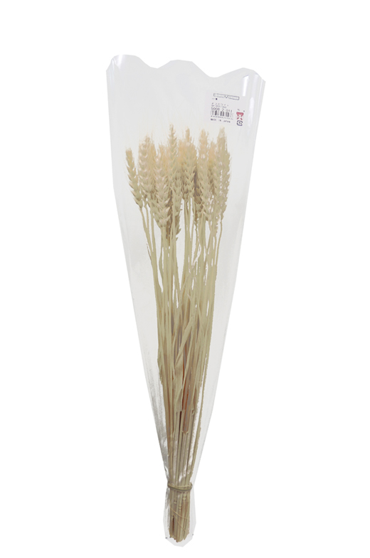 プリザーブドフラワー花材：ＯＮ小麦・オフホワイト
