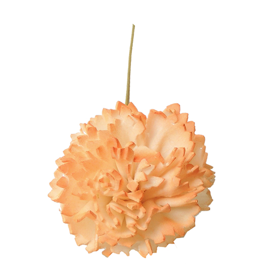 プリザーブドフラワー花材：ＯＮソーラーシフォンカーネーション・ホワイトオレンジ