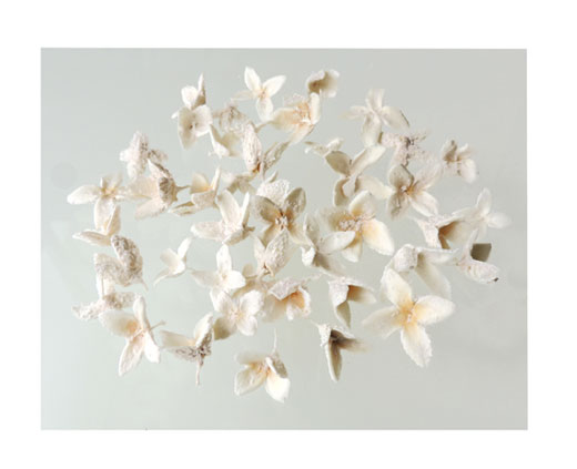 ���R�f�ނn�m�u�i�̎��E��(24380-011)