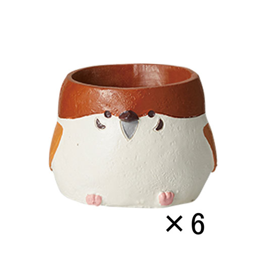 ԍ fggW|bgEXY(5487)6