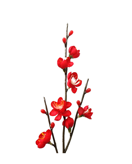 プリザーブドフラワー花材：ＰＬ小枝梅・レッド(P-1690-50)