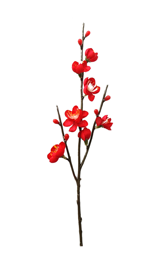 プリザーブドフラワー花材：ＰＬ小枝梅・レッド(P-1690-50)