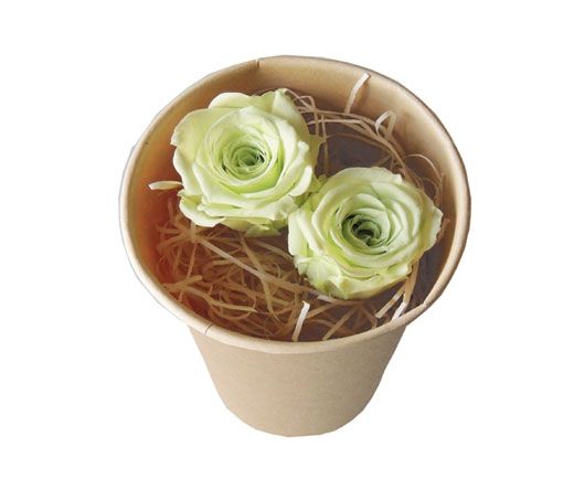 �ԍ� �j���������E100�~���[�Y�E�~���g�O���[��2�֓�