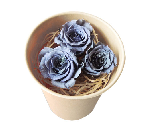 ԍ jE100~[YEX[L[u[3֓