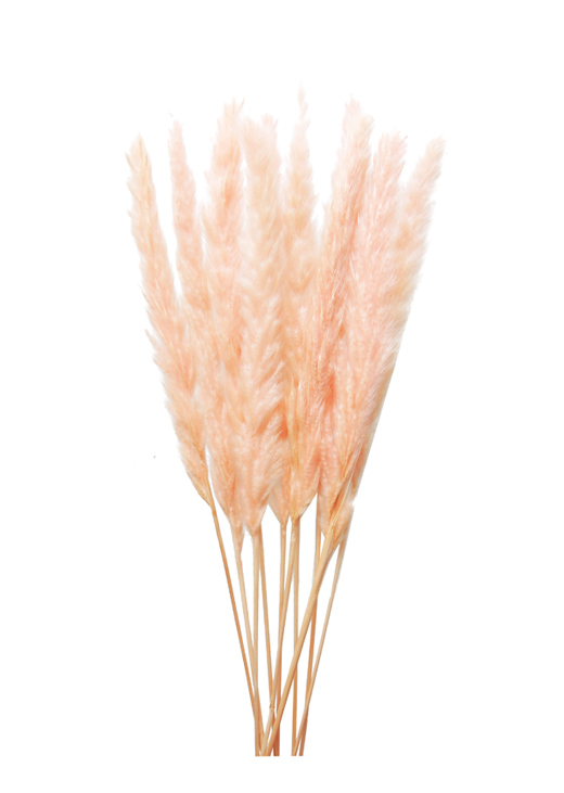 ԍ `r~je[[hEN[sN(80046-003)EAEgbg