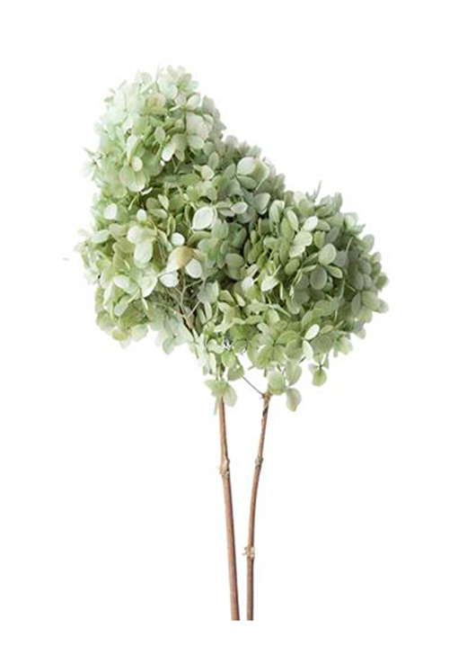 ԍ n_Es~bhAWTCEXetEi`GreenEAEgbg