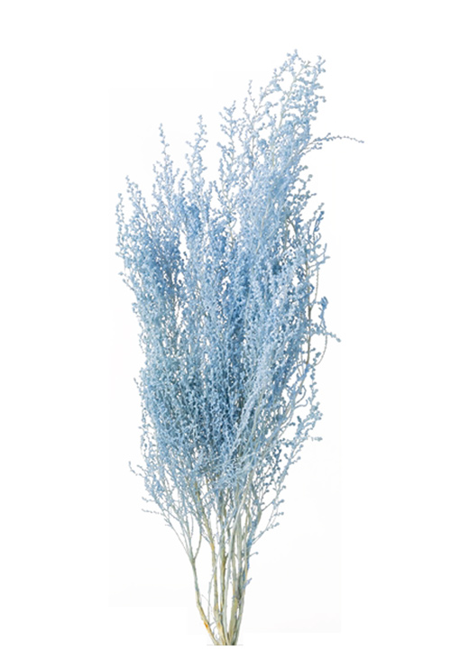 予約製品 Mimi様 ソフトストーべ オフホワイト 大地農園 1束 送料無料沖縄を除く ハンドメイド 素材 材料 Roe Solca Ec