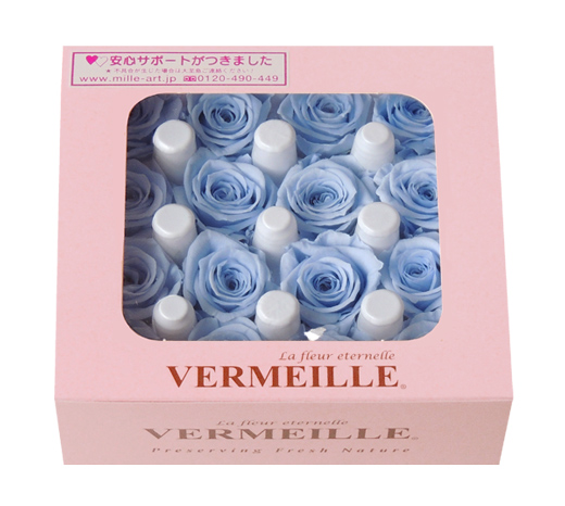 ԍ UBEA@EXJCu[16ցEAEgbg