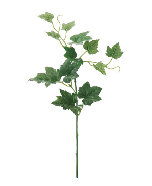 �c�l���[�t�c�l���ԁE�A�C�r�[�V���[�g�E�O���[��(FG-4662-GR)�n�s