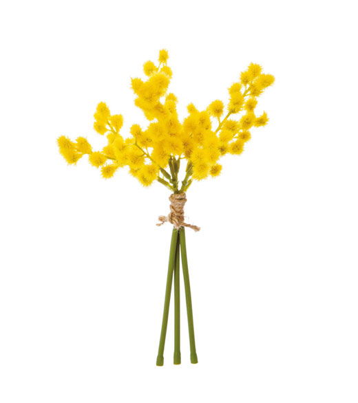 �ԍ� �c�l���ԁE�~���U�o���`�E�C�G���[(FB-2413-Y)�E�A�E�g���b�g