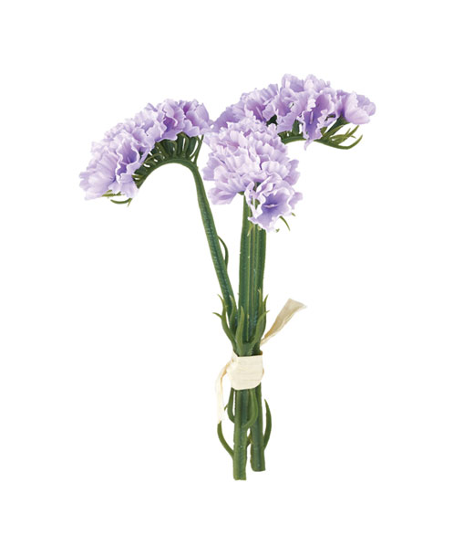 �ԍ� �c�l���ԁE�X�^�[�`�X�o���`�E���x���_�[(FB-2599-LAV)�E�A�E�g���b�g