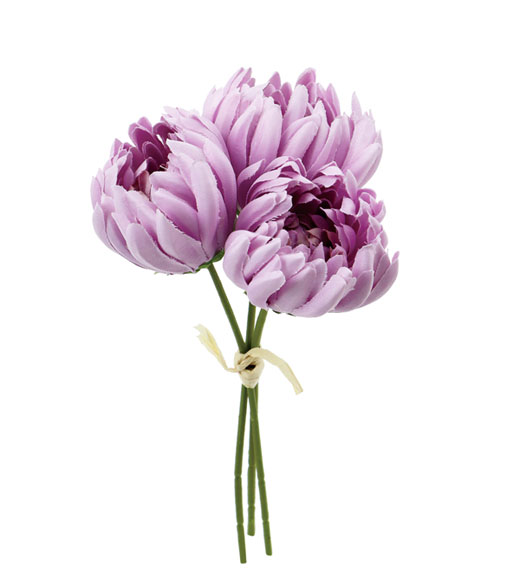 �ԍ� �c�l���ԁE�ڂ݋e�o���`�E���x���_�[(FB-2600-LAV)�E�A�E�g���b�g