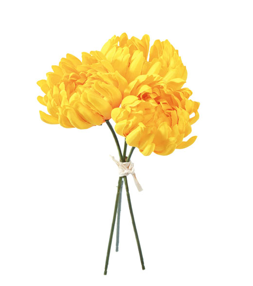 �ԍ� �c�l���ԁE�ڂ݋e�o���`�E�C�G���[(FB-2600-Y)�E�A�E�g���b�g